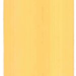 TRACTION MOTOR COVER